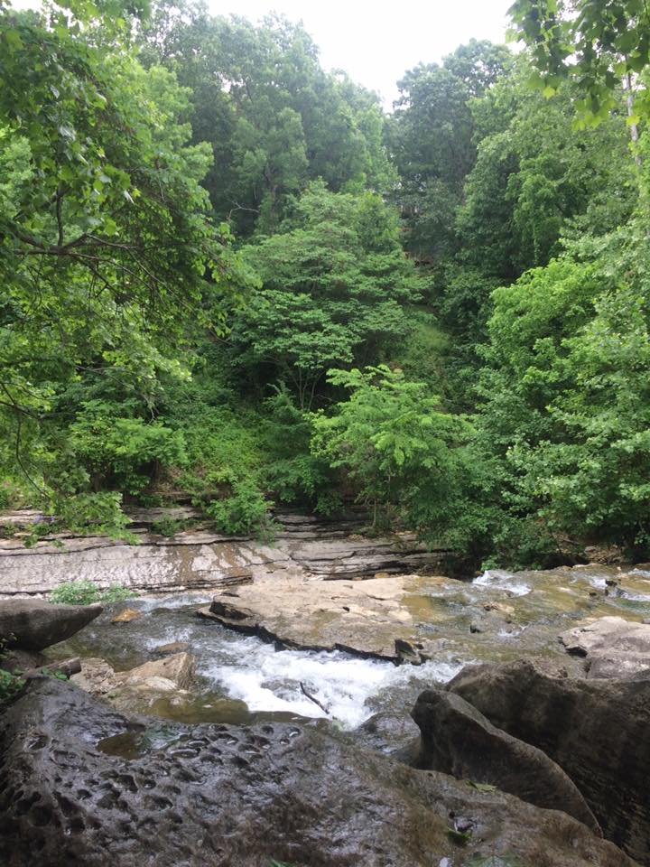 13256014_10153912144438855_8469449760939632097_n