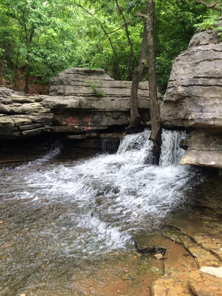 13256377_10153912145088855_7251662131307088842_n